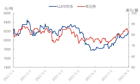 焦点080402.png